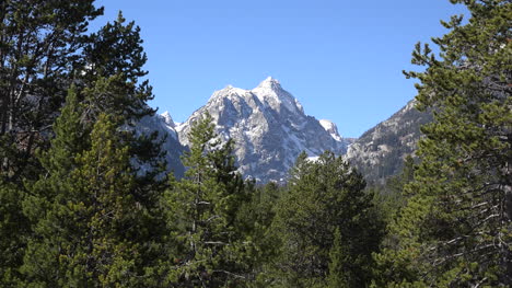 Wyoming-Pico-En-Los-Tetons-Más-Allá-De-Los-árboles-Alejar