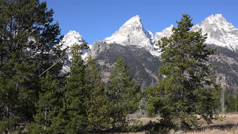 Wyoming-view-of-Teton-peak-between-trees