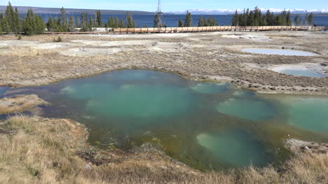 Yellowstone-Mimulus-Pool-at-West-Thumb