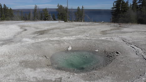 Yellowstone-Sickerquelle-Am-Westdaumen