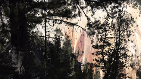 Yellowstone-colorful-canyon-walls-framed-by-pine-branch-pan