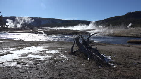 Yellowstone-Toter-Baum-Keks-Geysir-Becken