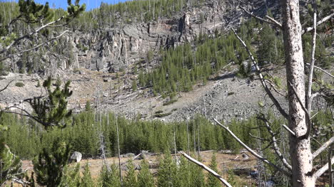 Yellowstone-hillside-with-trees-and-rubble