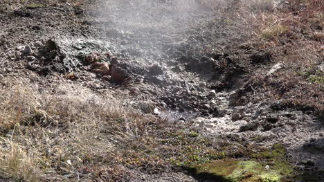 Yellowstone-Schlamm-Und-Kochendes-Wasser-Am-Westdaumen