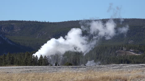 Yellowstone-steam-from-a-geyser-against-forest