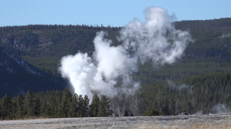 Yellowstone-steam-from-geyser-rises-up