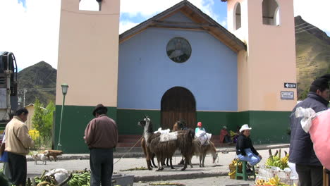 Ecuador-Markt-Und-Lamas