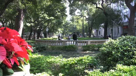 Guangzhou-Grüner-Park