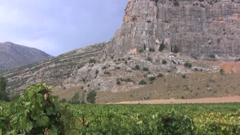 Tilts-up-a-rock-face-from-vineyards-near-Nemea