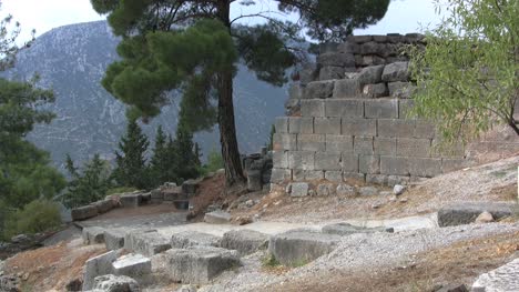 Baum-Und-Ruinen-Von-Delphi