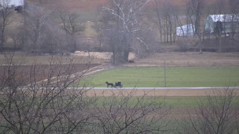 Amish-buggy-going-down-a-road