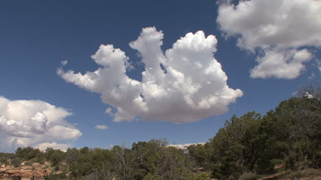 Arizona-Lustig-Geformte-Kumuluswolke
