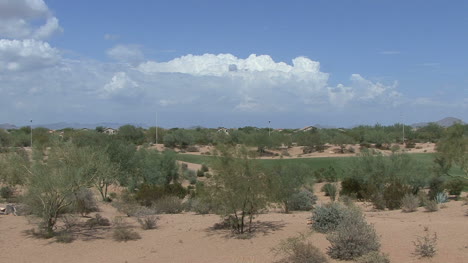 Arizona-Golfplatz-Und-Sträucher