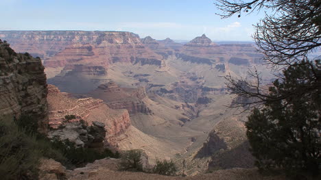 Arizona-Grand-Canyon-scene-with-tree-limbs
