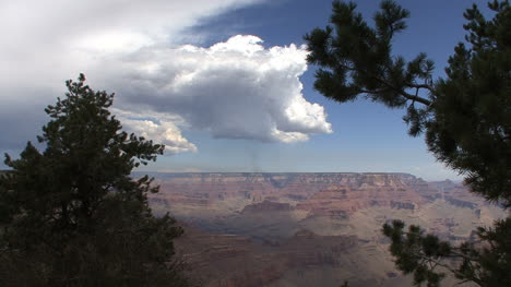 Arizona-Grand-Canyon-scene-with-tree-and-cloud