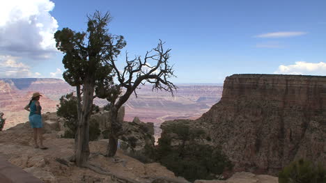 Arizona-Grand-Canyon-tourist