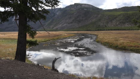 Yellowstone-Vista-Del-Río-Madison-En-El-Parque-Nacional