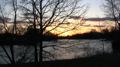 Delaware-Sonnenuntergang-Mit-Kahlen-Baum