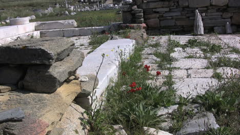 Delos-stone-ruins-with-poppies