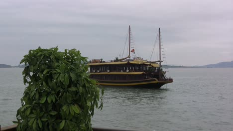 Halong-with-boat-emerging-from-behind-plant