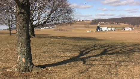 Lancaster-Farmen-Mit-Baum-Und-Vogel