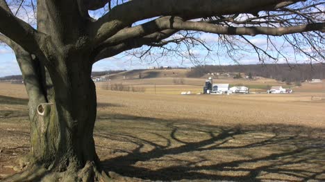 Lancaster-Country-Tree-Und-Farmen