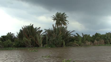 Mekong-scene-with-palm-trees