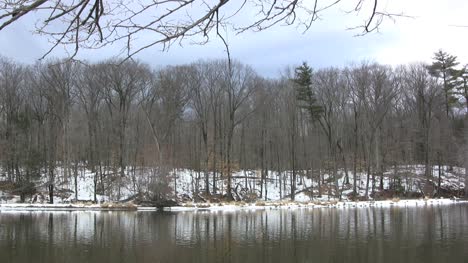 New-York-pond-and-winter-woods