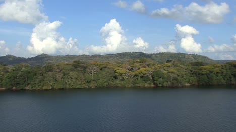 Panamakanal-Regenwald-Am-Ufer-Des-Lake-Gatun
