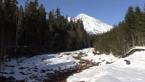 Monte-Rainier-En-El-Parque-Nacional