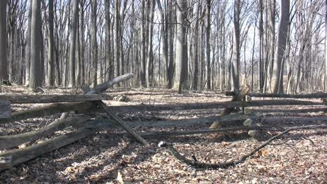 Valley-Forge-Split-Rail-Zaun