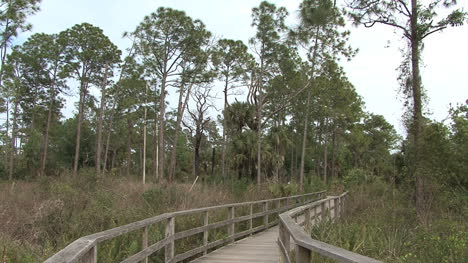 Florida-Broardwalk-to-pines
