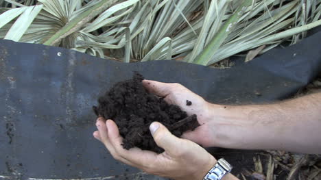 Florida-Handfull-of-soil