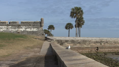 Florida-Zooms-Fuerte-Español-San-Agustín