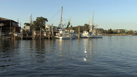 Tarpon-Springs-birds-fly-by-boats