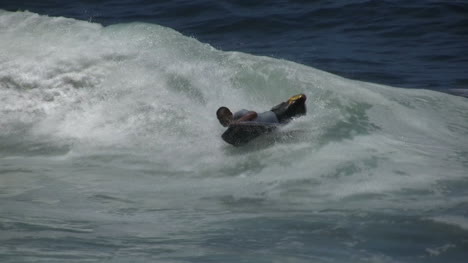 Hawaii-Big-Island-Guter-Surfer
