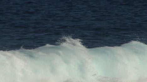 Hawaii-Kid-challenging-waves