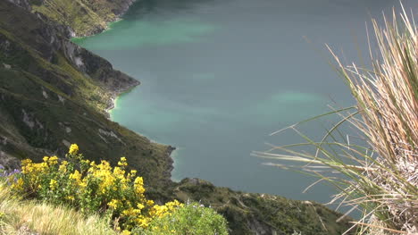 Ecuador-crater-lake-with-flowers