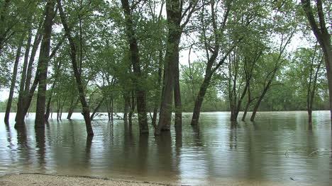 Überschwemmungsgebiet-Unter-Wasser