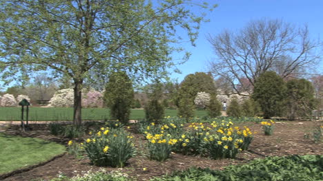 Wisconsin-Madison-garden-blossoms-2