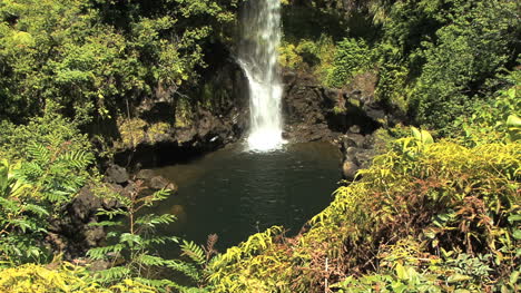 Hawaii-Kamaee-Falls-Y-Piscina
