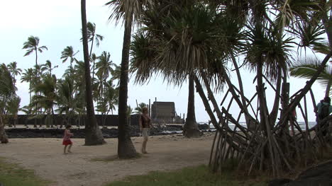 Hawaii-Pandamus-Tree-Lugar-De-Refugio-2