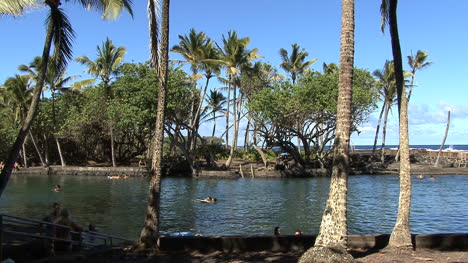 Hawaii-Schwimmen-Im-Pool-In-Puna