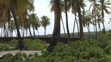 Hawaii-Wall-and-palms-Place-of-Refuge-2