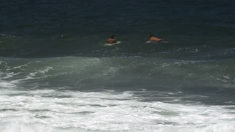 Hawaii-Wellen-In-Der-Nähe-Von-Hilo-Bei-Kolekoke