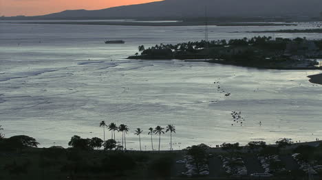 Honolulu-Abend-Palmen-Von-Bay-By