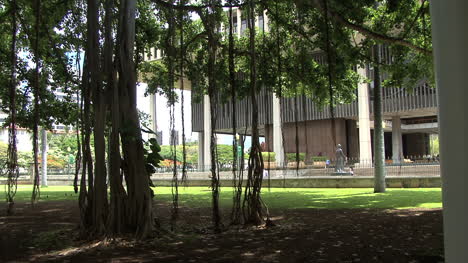 Honolulu-Banyan-Bäume-Kapitol-Gebäude-Cap