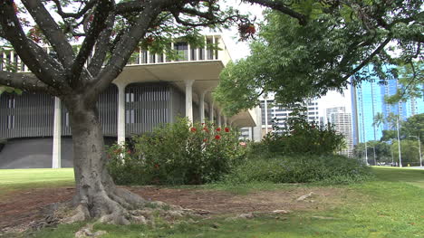 Honolulu-Hawaii-State-capital-and-tree-2