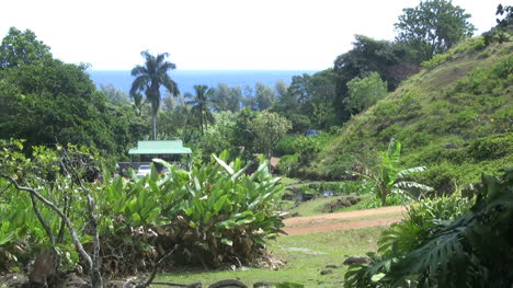 Bauernhaus-Und-Getreide-Auf-Kauai