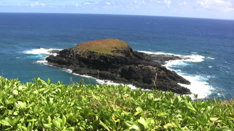 Flache-Insel-Vor-Kauai